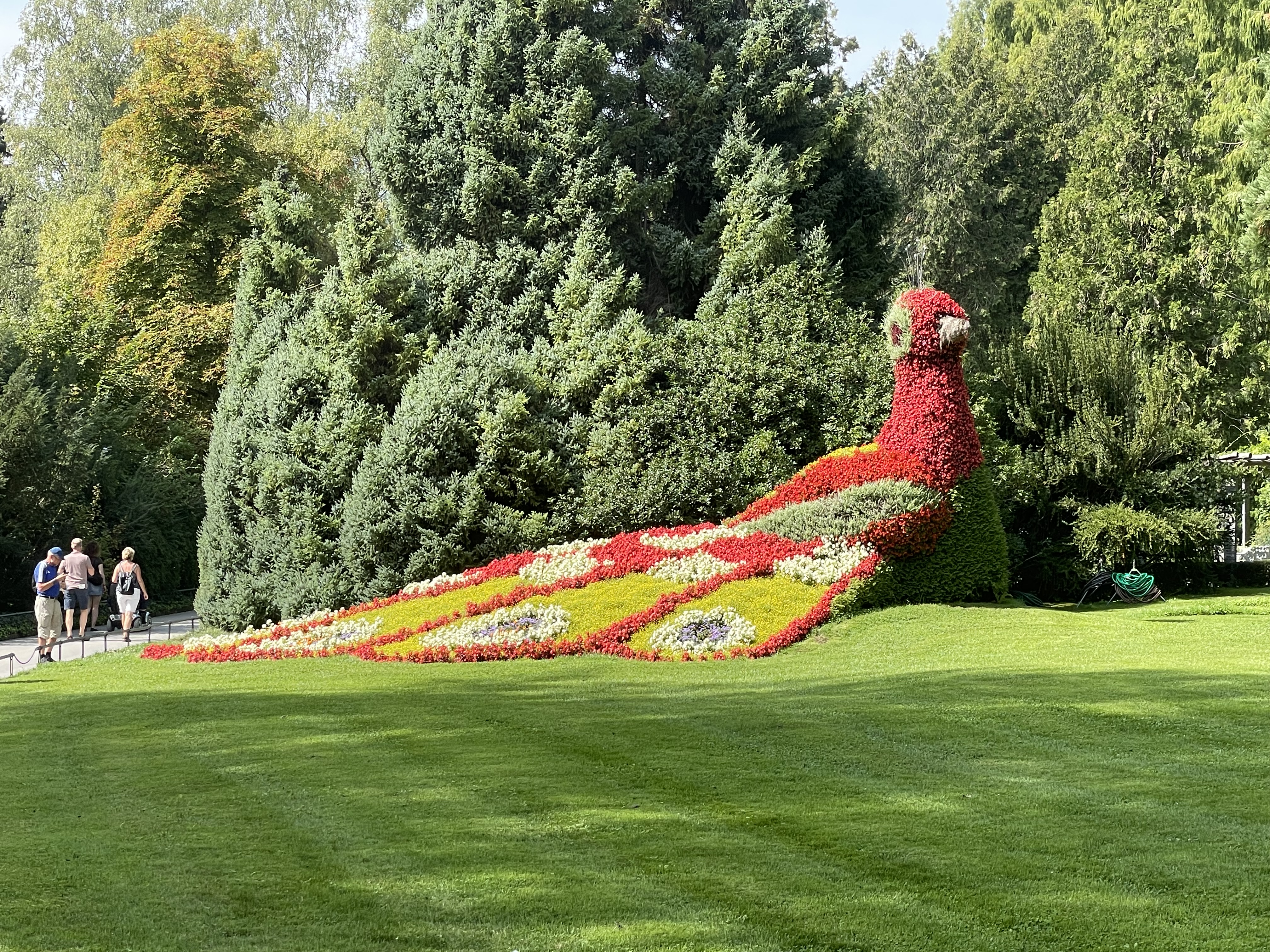 Ein Pfau aus lauetr Blumen auf der Insel Mainau